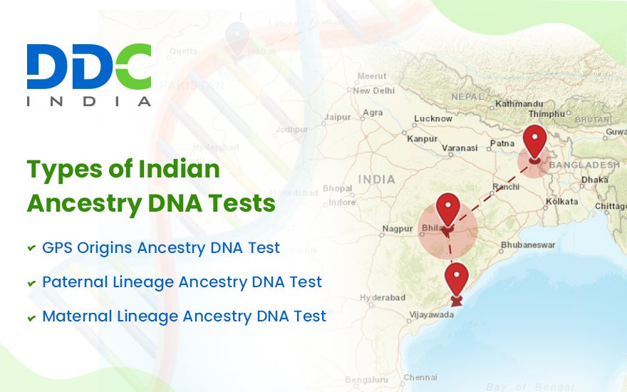 Ancestry DNA Test in India