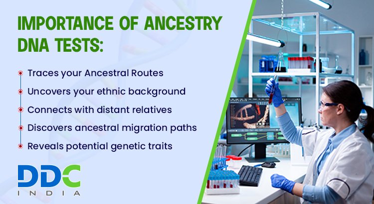 Importance of Ancestry DNA Tests