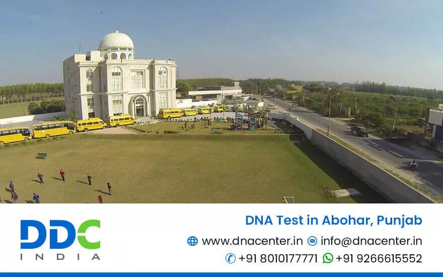 DNA Test in Abohar