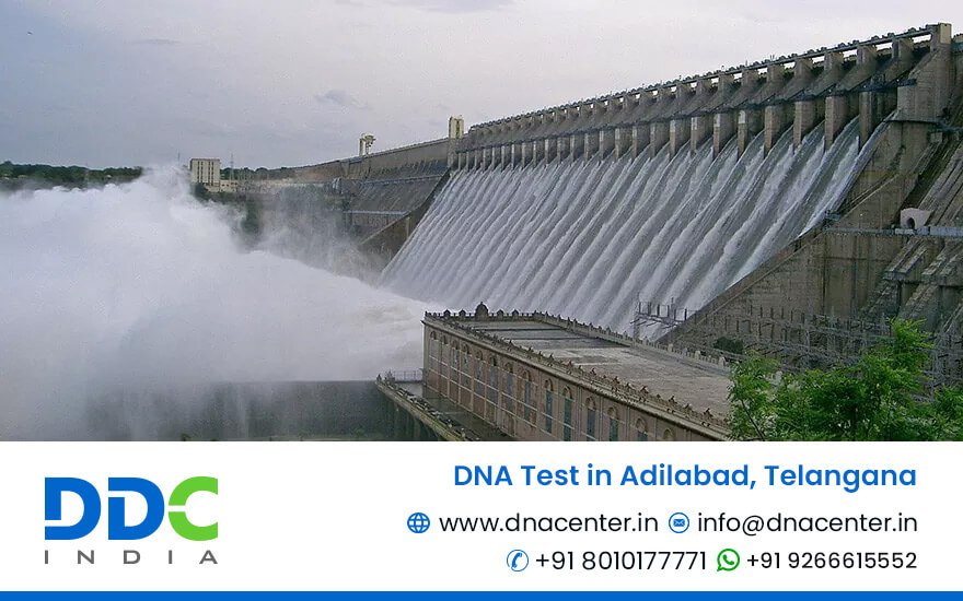 DNA Test in Adilabad