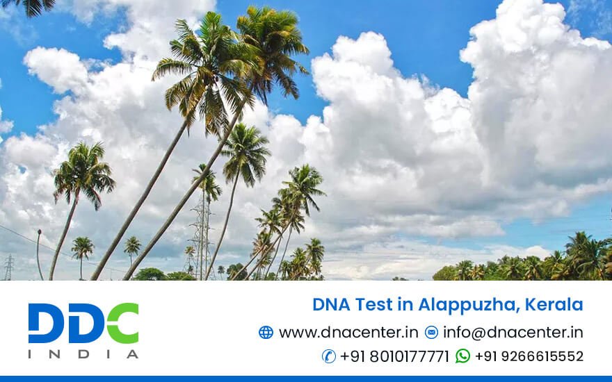 DNA Test in Alappuzha