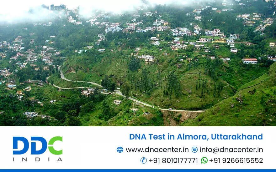 DNA Test in Almora
