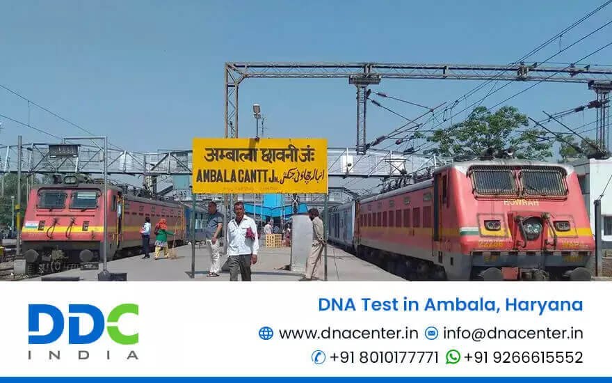 DNA Test in Ambala