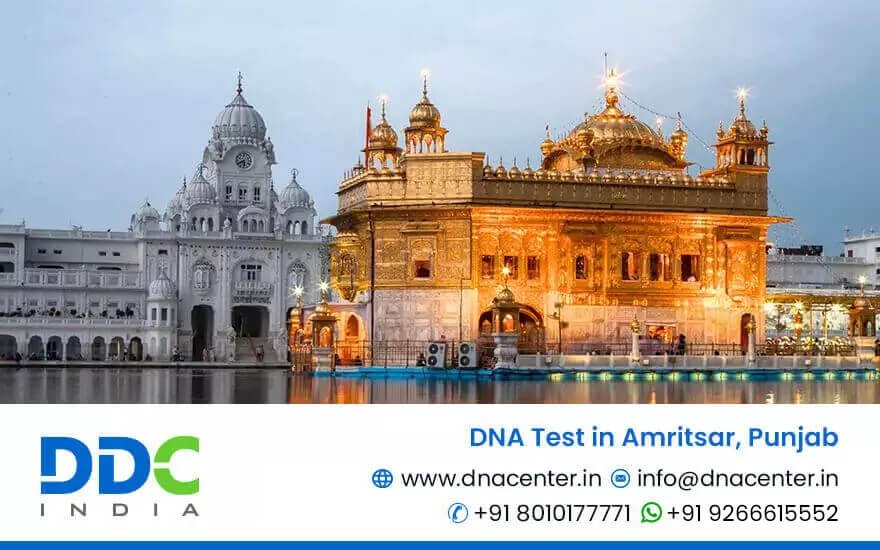 DNA Test in Amritsar