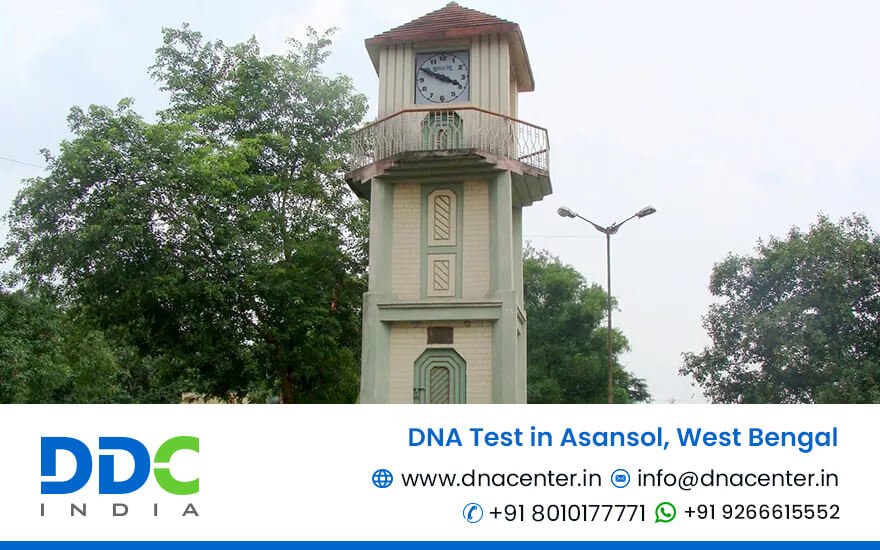 DNA Test in Asansol