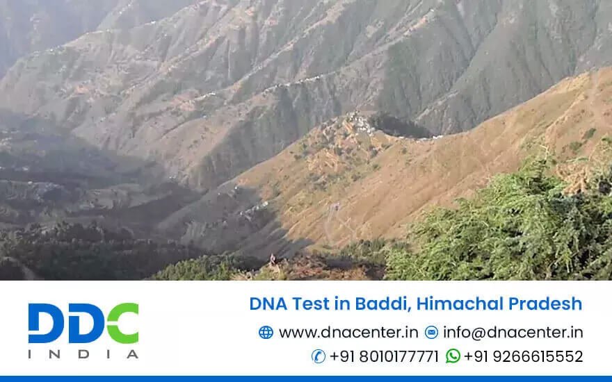 DNA Test in Baddi
