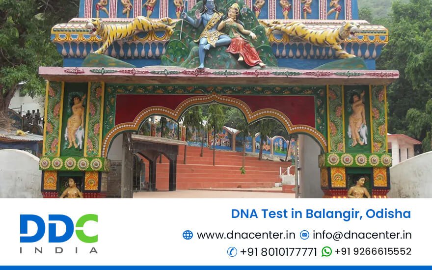 DNA Test in Balangir