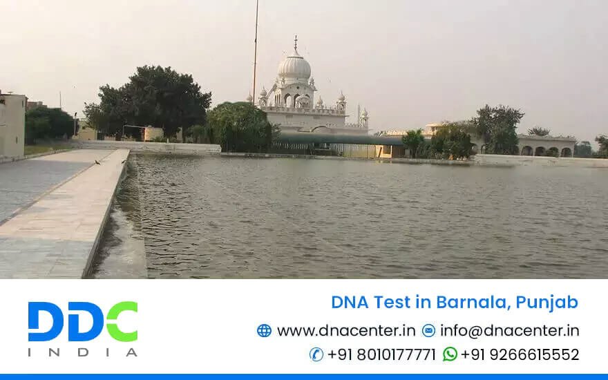 DNA Test in Barnala