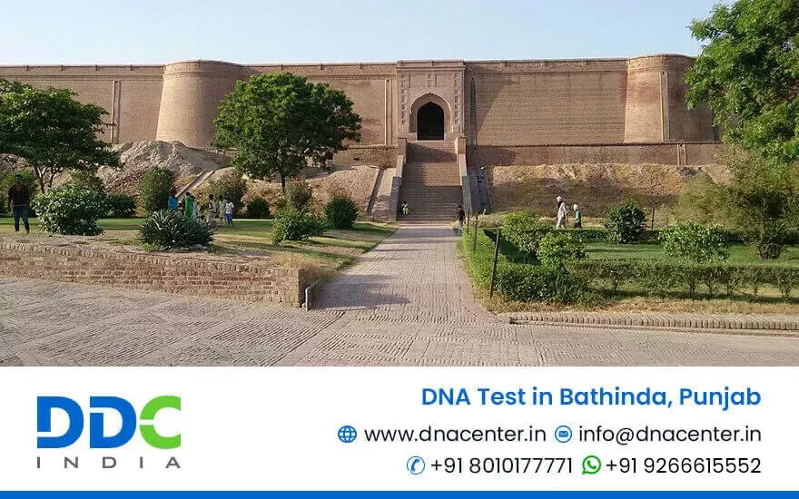 DNA Test in Bathinda