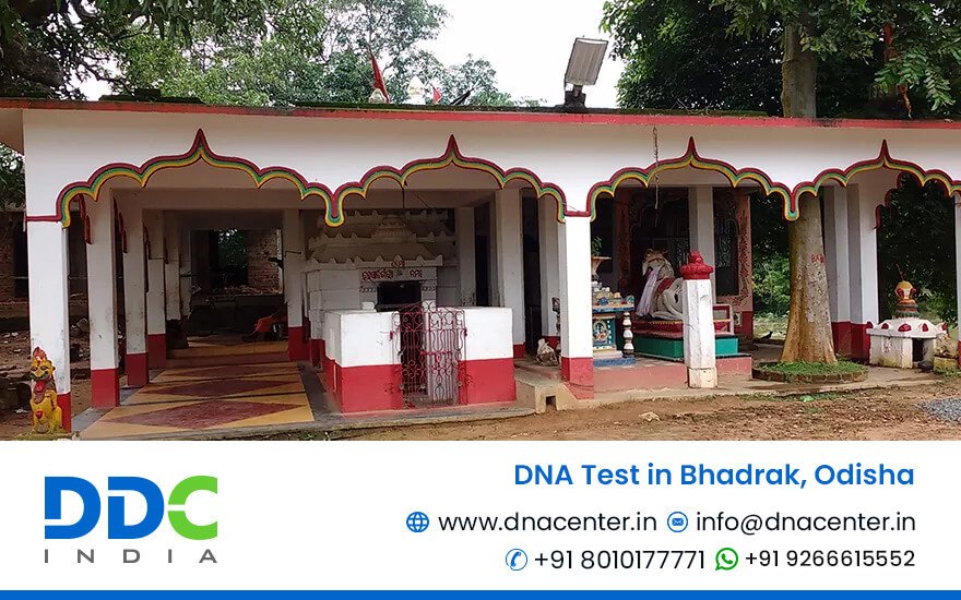 DNA Test in Bhadrak