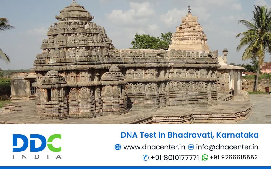 DNA Test in Bhadravati