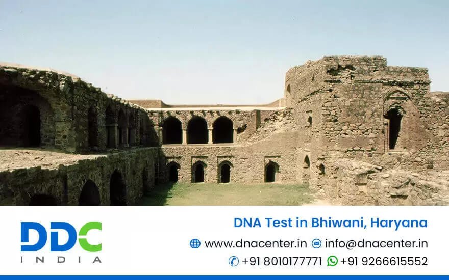DNA Test in Bhiwani