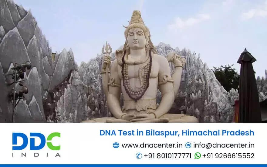 DNA Test in Bilaspur
