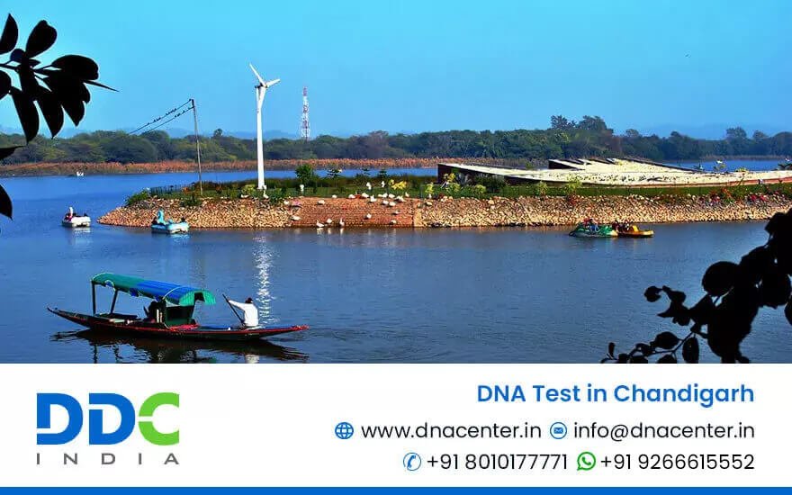 DNA Test in Chandigarh