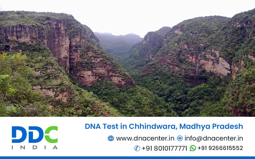 DNA Test in Chhindwara