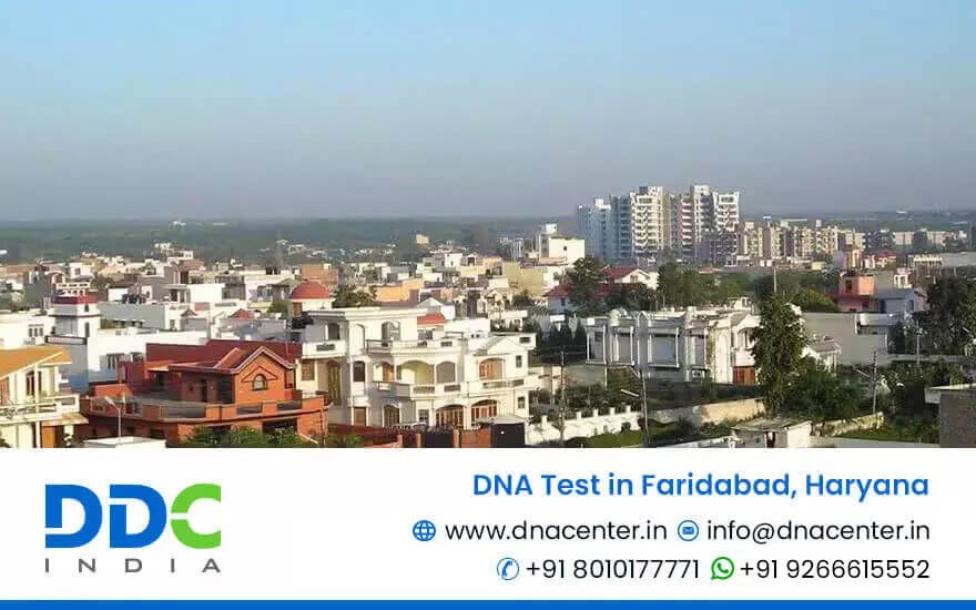 DNA Test in Faridabad
