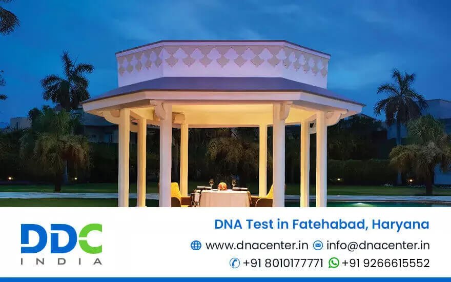 DNA Test in Fatehabad