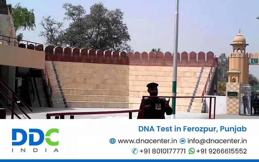 DNA Test in Ferozpur
