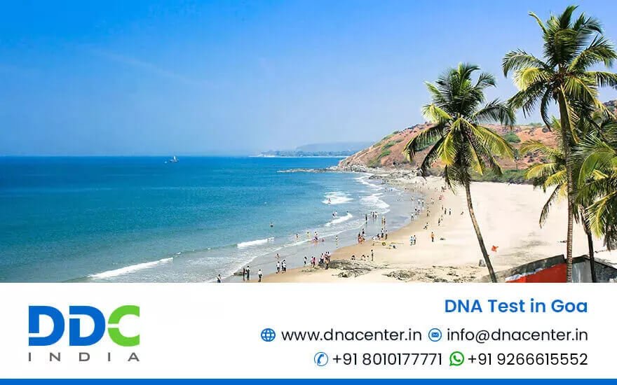 DNA Test in Goa