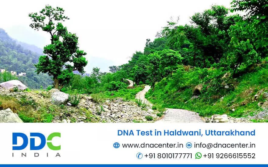 DNA Test in Haldwani