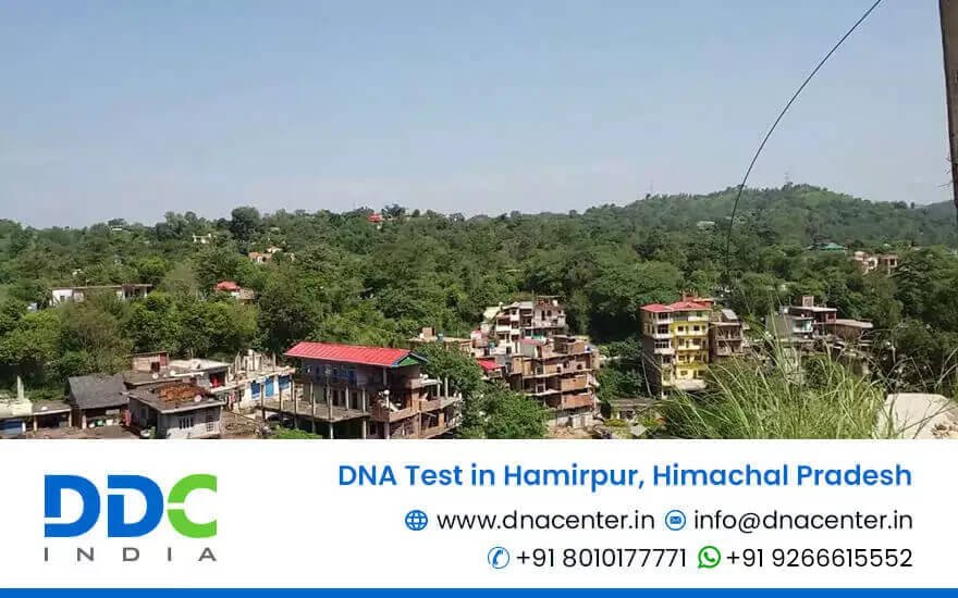 DNA Test in Hamirpur
