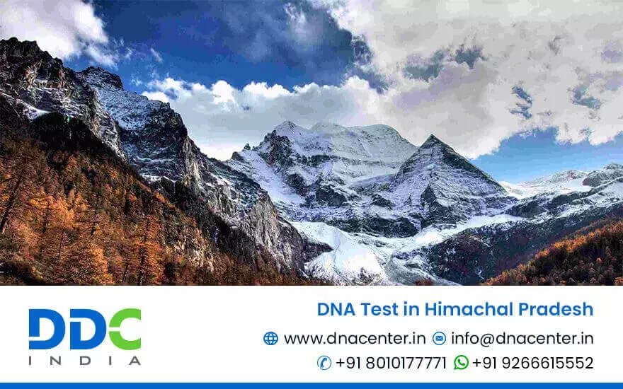 DNA Test in Himachal Pradesh