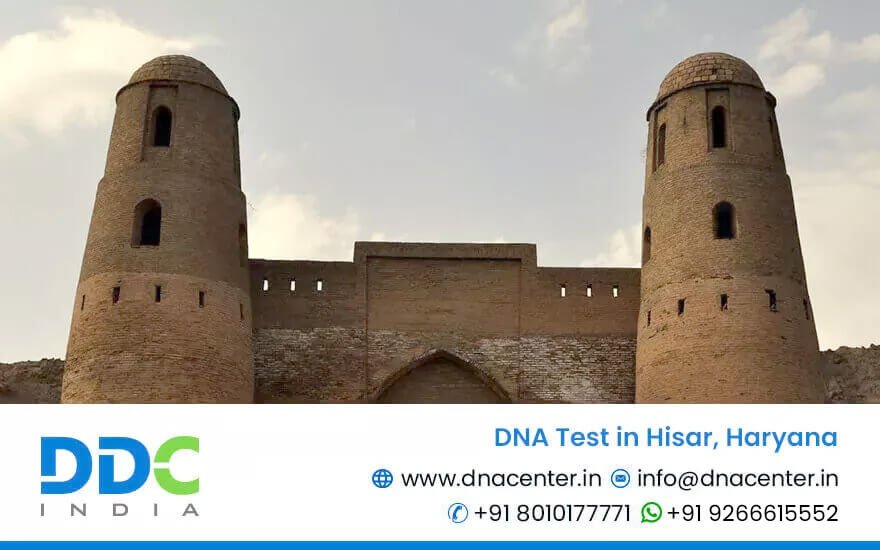 DNA Test in Hisar