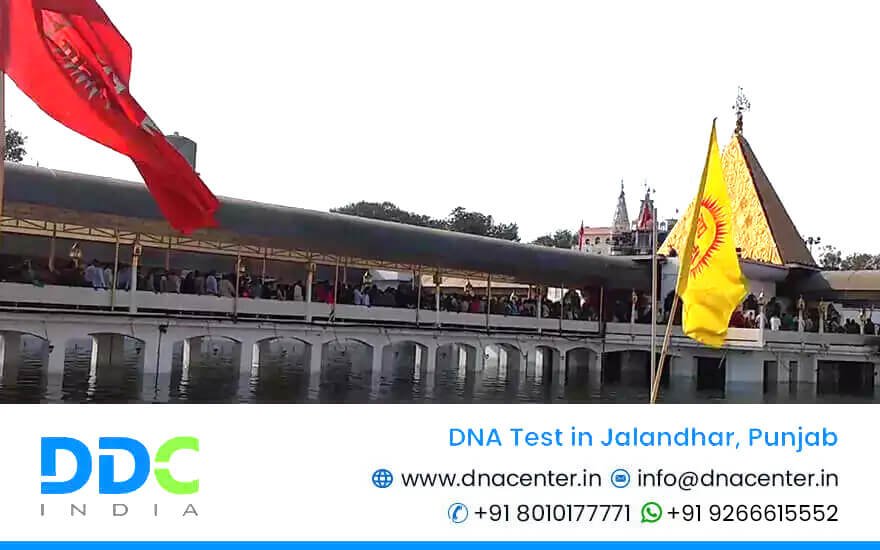 DNA Test in Jalandhar