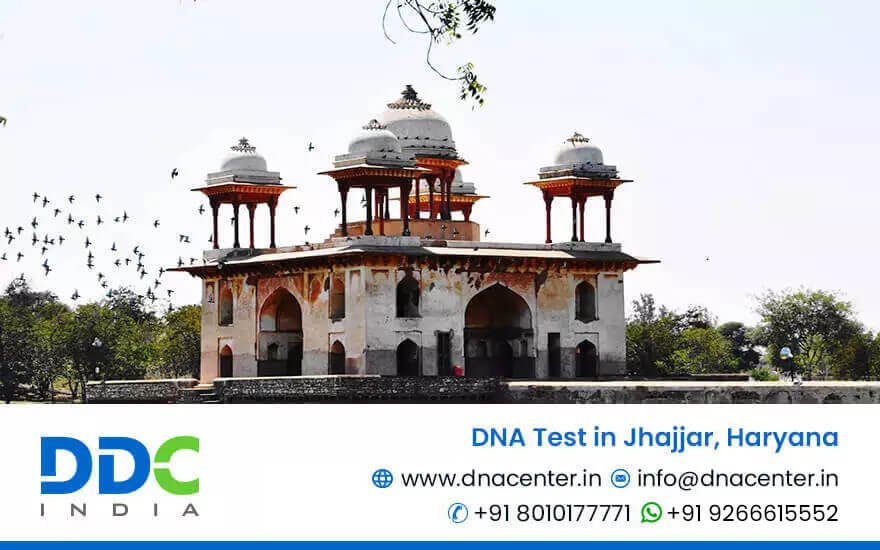 DNA Test in Jhajjar