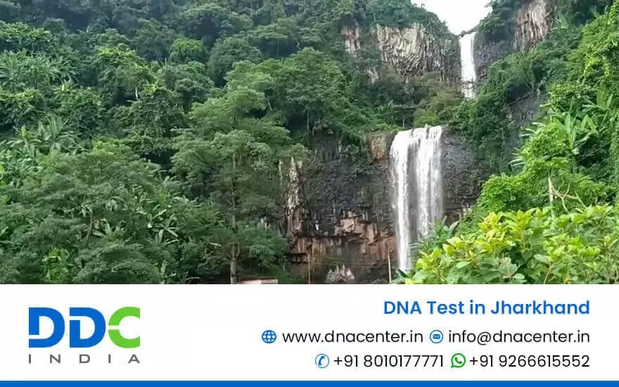DNA Test in Jharkhand