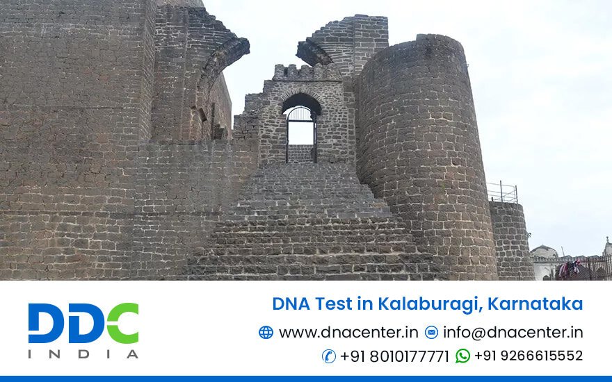 DNA Test in Kalaburagi