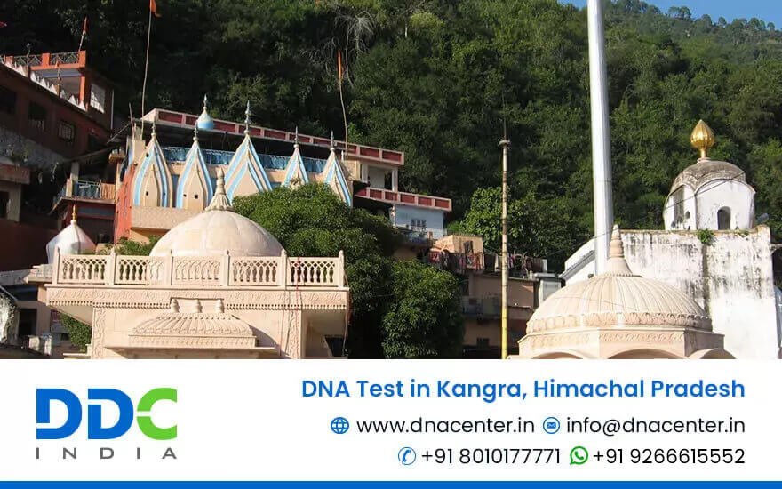 DNA Test in Kangra