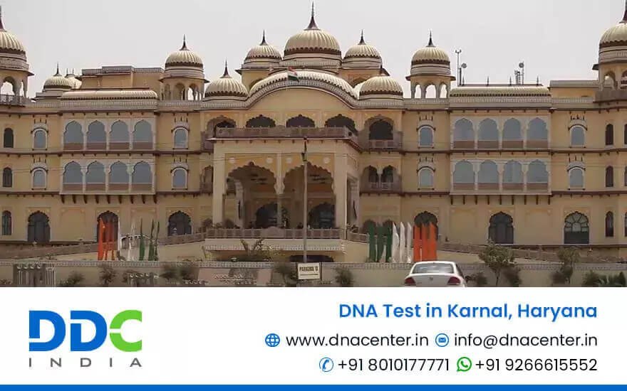 DNA Test in Karnal
