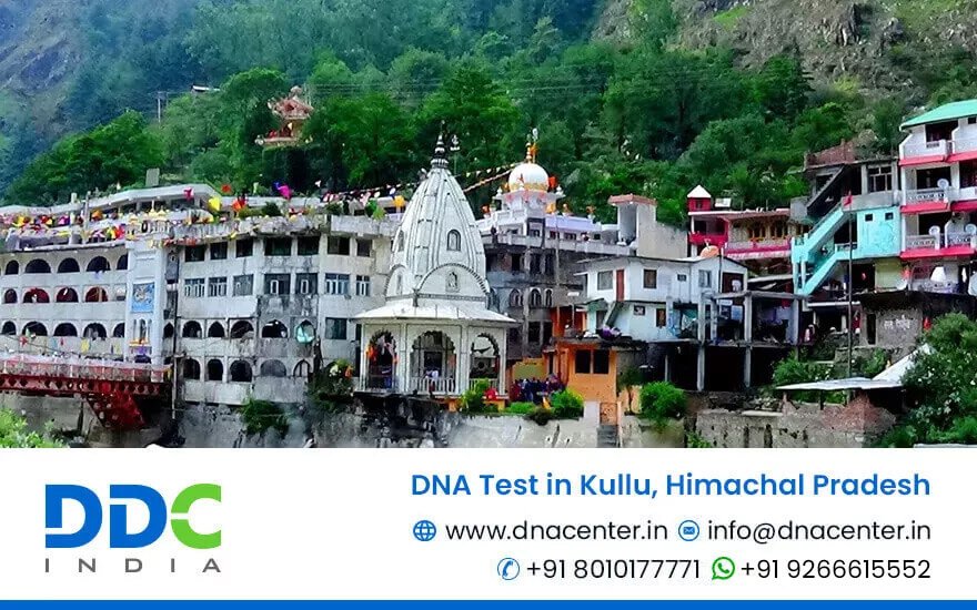 DNA Test in Kullu