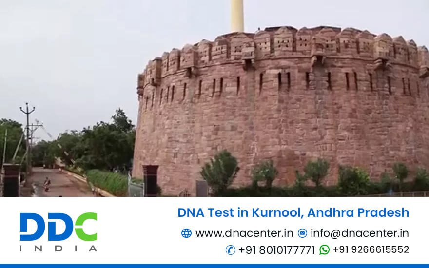 DNA Test in Kurnool