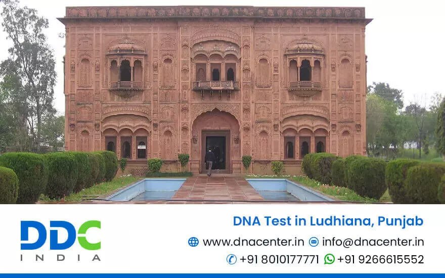 DNA Test in Ludhiana