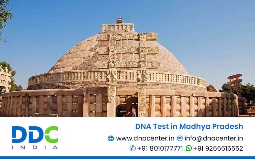 DNA Test in Madhya Pradesh