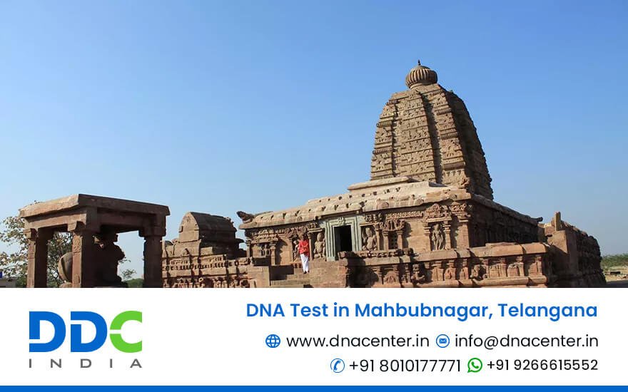 DNA Test in Mahbubnagar