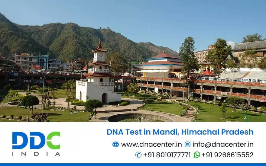DNA Test in Mandi