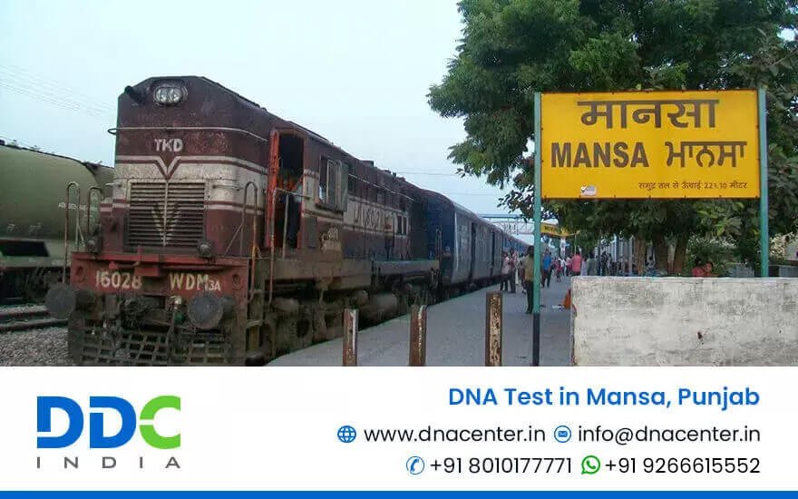 DNA Test in Mansa