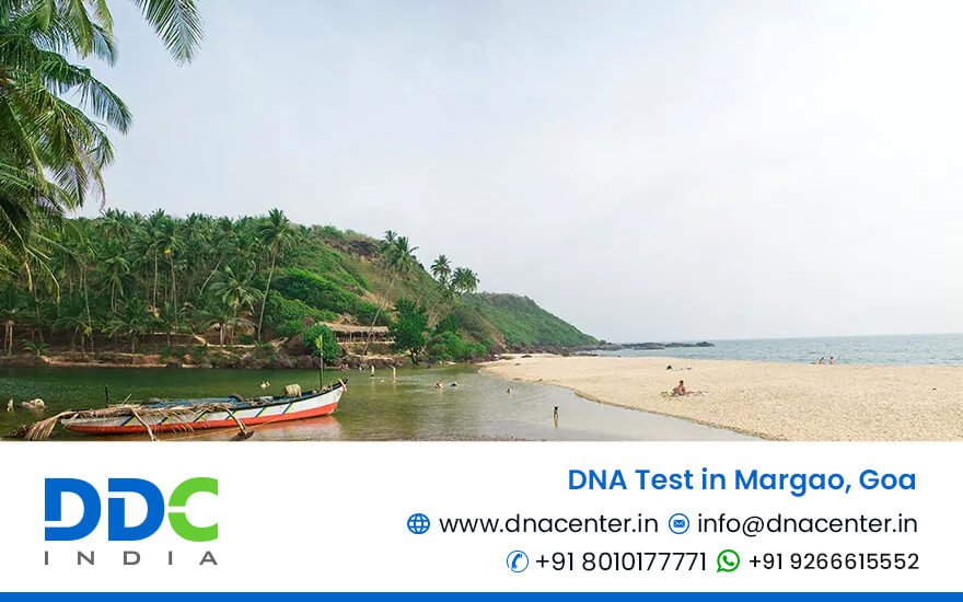 DNA Test in Margao