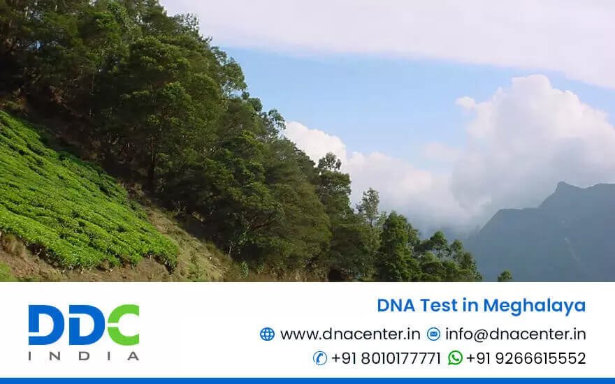 DNA Test in Meghalaya