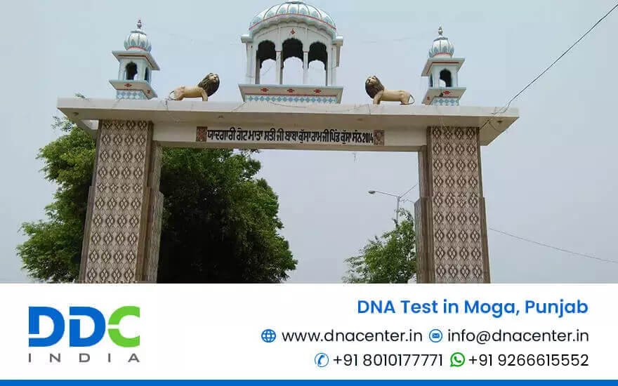 DNA Test in Moga
