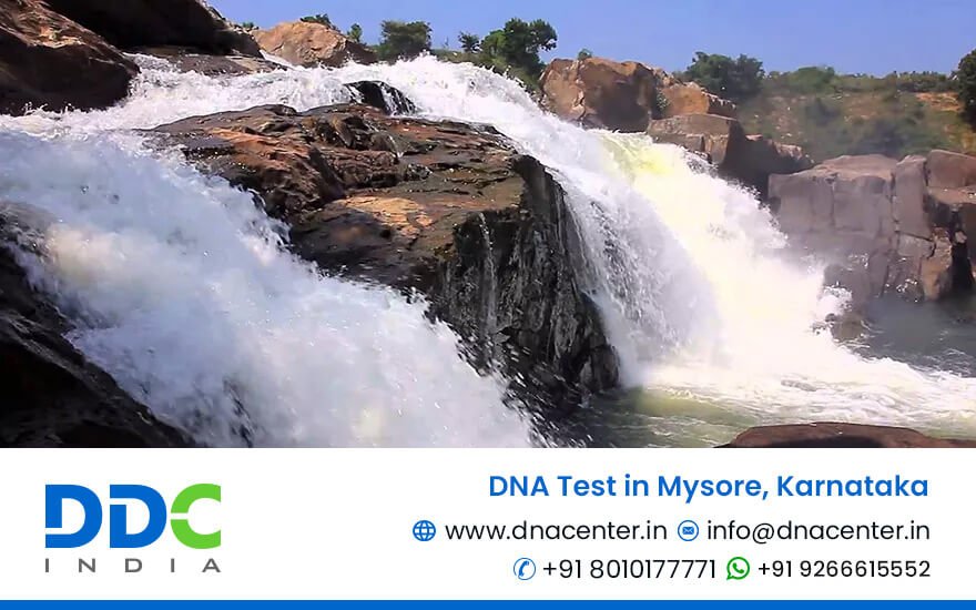 DNA Test in Mysore