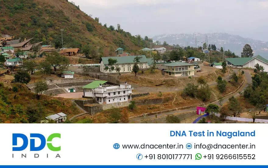 DNA Test in Nagaland