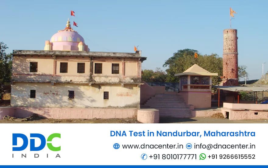 DNA Test in Nandurbar