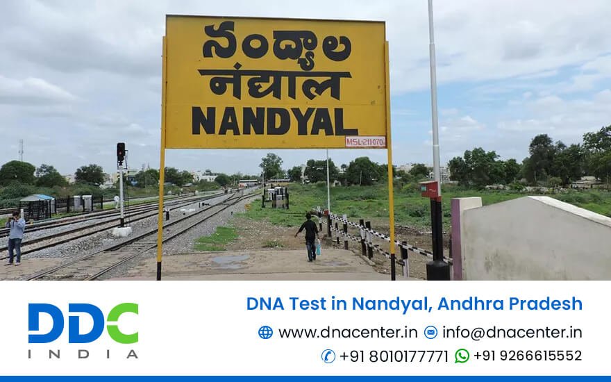 DNA Test in Nandyal