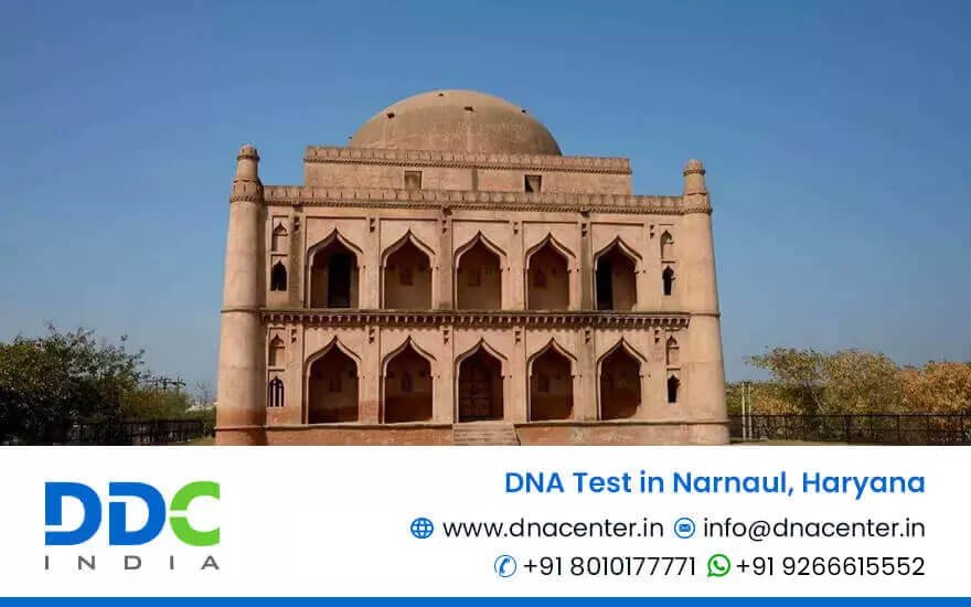 DNA Test in Narnaul