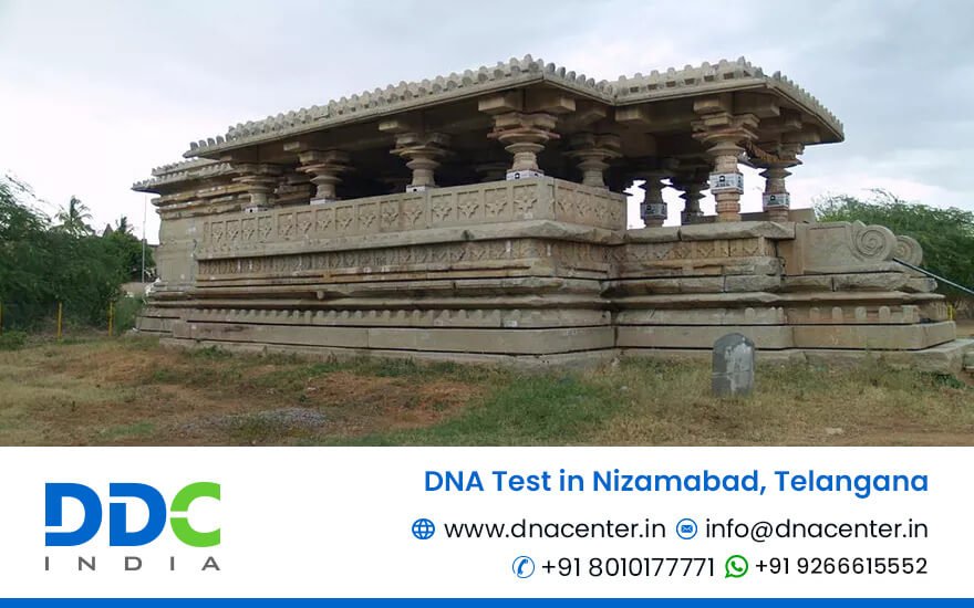 DNA Test in Nizamabad
