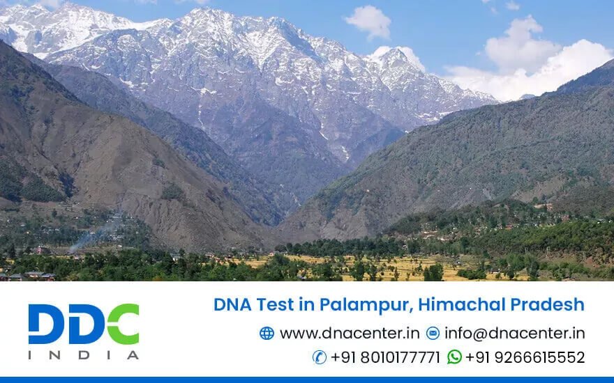 DNA Test in Palampur